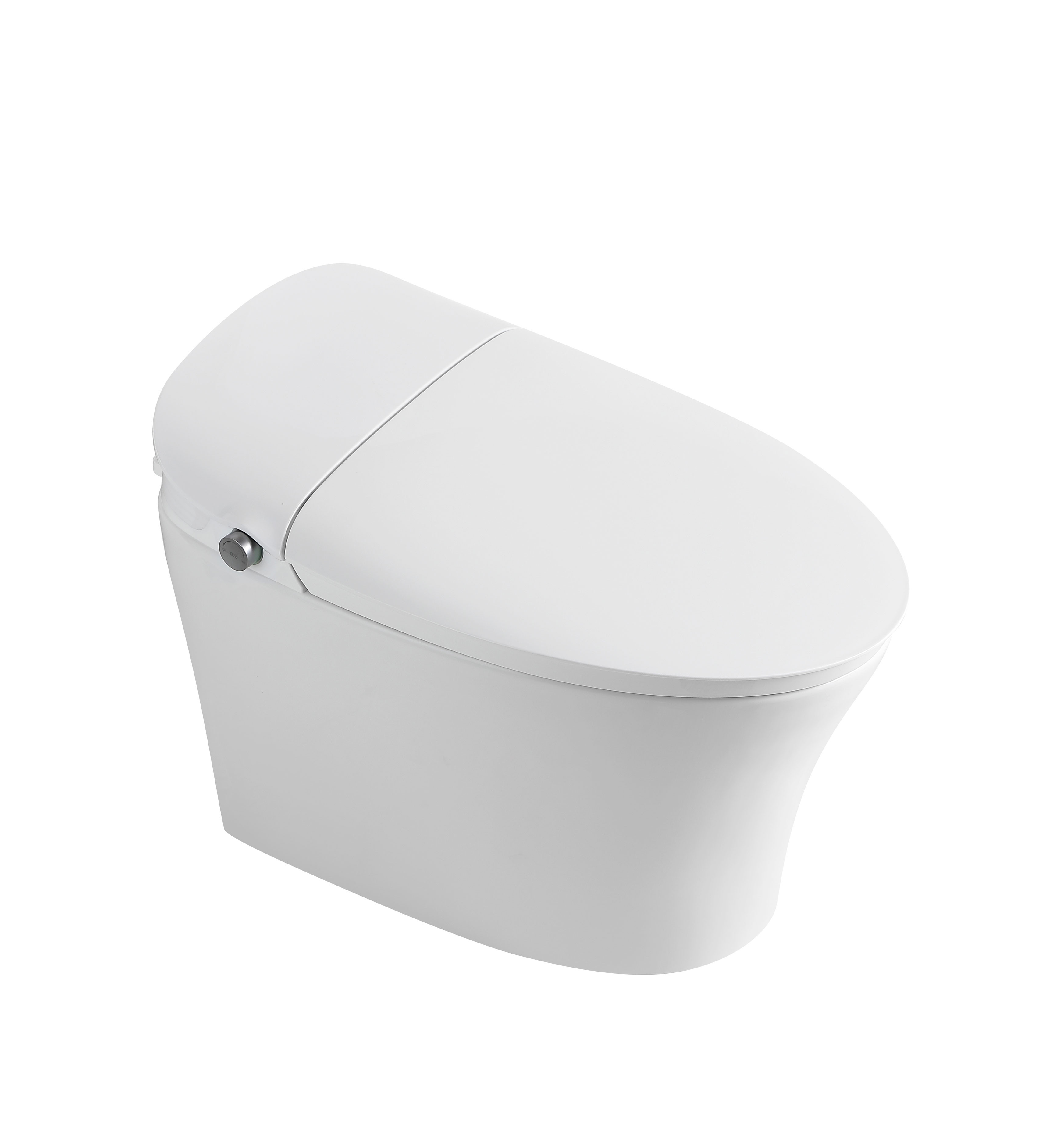 619X1 - TOILET